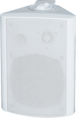 FYB 40W wall -mounted speaker