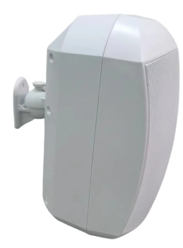 Loa treo tường 60W