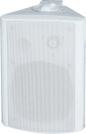 FYB 40W wall -mounted speaker