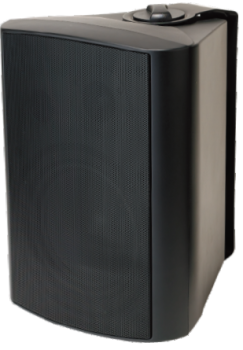 Loa treo tường FYB 40W